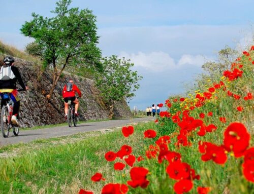 Las vías verdes, una opción diferente de pedalear